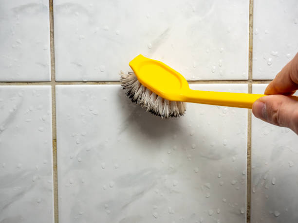 Best Home Mold Removal  in Maxwell, CA