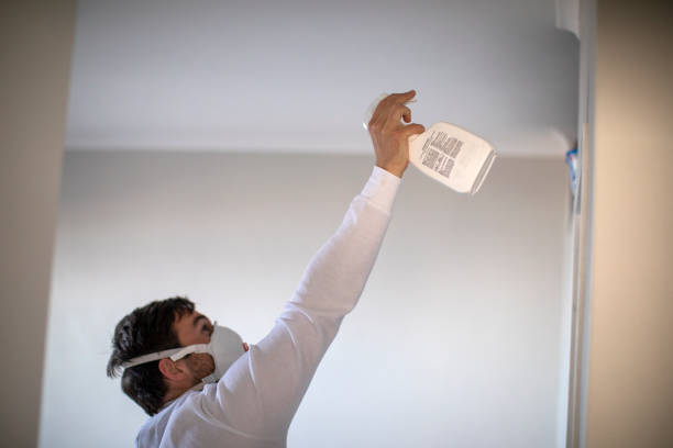 Best Crawl Space Mold Removal  in Maxwell, CA