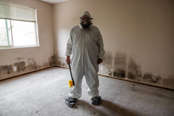 Best Office Mold Removal Services  in Maxwell, CA